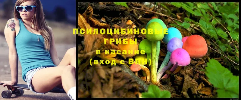 даркнет сайт  Зуевка  Псилоцибиновые грибы Psilocybe 