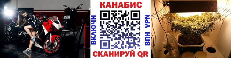 что такое   Зуевка  Марихуана гибрид 